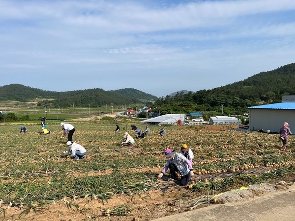 신안군 장산면, 목포시 북항동과 ‘무더위 속 농번기’ 함께 극복..