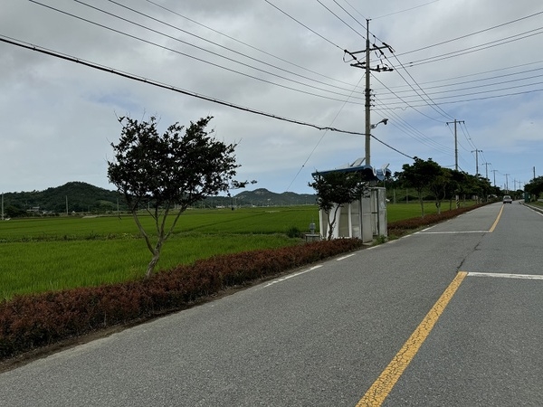 신안군, 차폐식재 예치제도 도입으로 ‘지속가능한 녹색경관’ 조성 4
