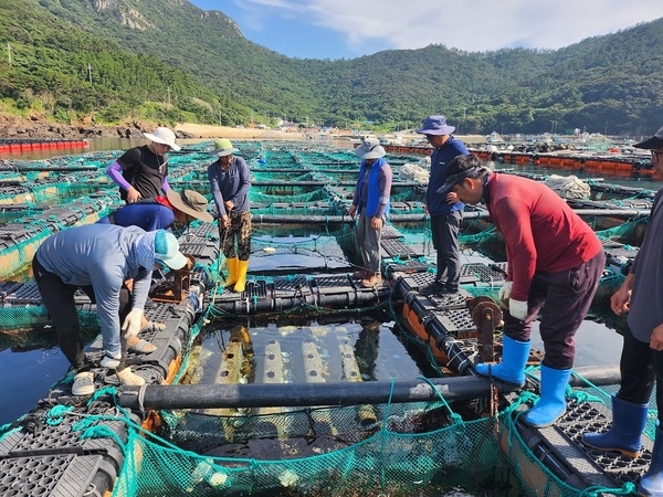 신안군, ‘고수온 주의보’ 발표에 양식어가 피해 최소화 총력 대응..'고수온 대응반 운영, 실시간 수온 정보 제공 및 각종 지원 사업 추진' 2