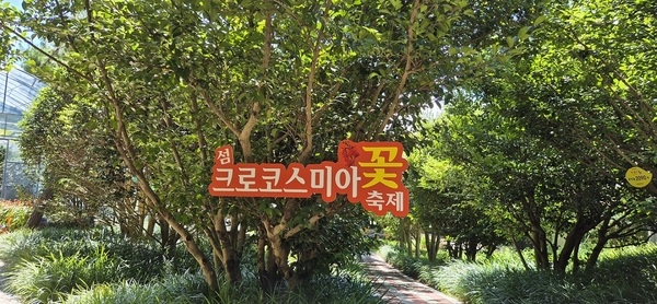 신안군, ‘2025 섬 크로코스미아 꽃 축제’ 성황리에 막 내려..'1004섬 분재정원, 4천만 송이 크로코스미아와 미세 물분사 연출로 몽환적인 분위기 선사'   2