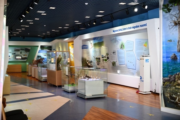 신안군, ‘신안철새박물관·신안자생식물뮤지엄’ 공립박물관 등록…유네스코 세계자연유산 위상 강화..'생물다양성 및 환경교육의 중심지로 도약, 세계자연유산 보전·활용 거점 역할 기대' 1