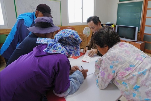 신안군, 햇빛연금 누적 수익 300억 원 돌파! 2