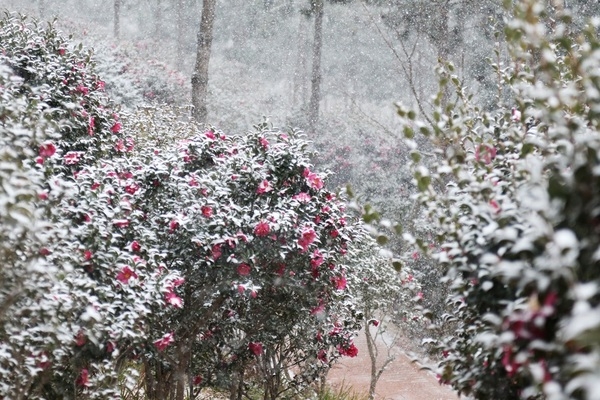 신의면 가락공원 황토맨발길 조성..