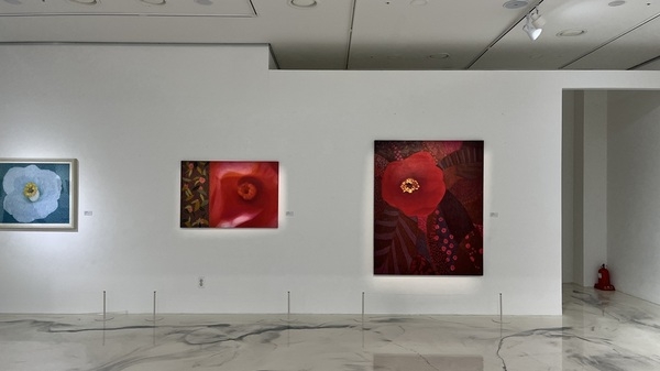 신안군 저녁노을미술관, 설희숙 초대전 ‘사유의 빛, 아! 동백’ 개막..'동백 주제 회화 53점 전시... ‘섬 겨울꽃 축제’와 연계하여 2026년 3월까지 개최' 2