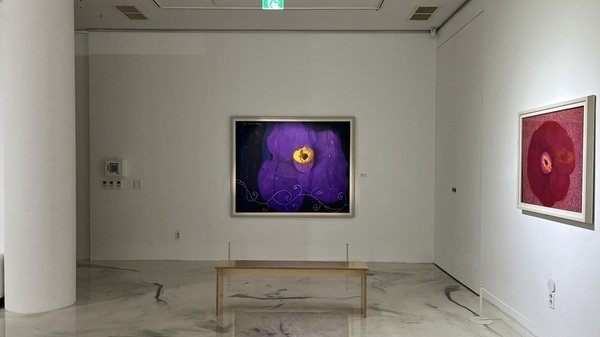 신안군 저녁노을미술관, 설희숙 초대전 ‘사유의 빛, 아! 동백’ 개막..'동백 주제 회화 53점 전시... ‘섬 겨울꽃 축제’와 연계하여 2026년 3월까지 개최' 4