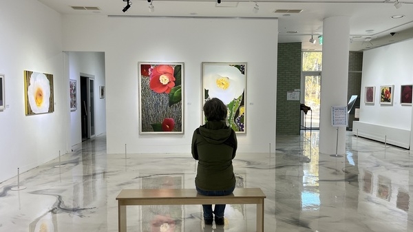 신안군 저녁노을미술관, 설희숙 초대전 ‘사유의 빛, 아! 동백’ 개막..'동백 주제 회화 53점 전시... ‘섬 겨울꽃 축제’와 연계하여 2026년 3월까지 개최' 5