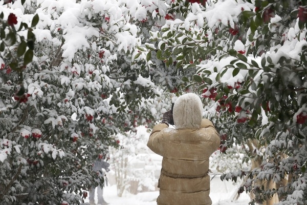 신안군, 목포시민 1004섬 분재정원 관람료 50% 할인 본격 시행..
