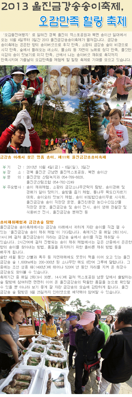 2013 울진금강송송이축제 2