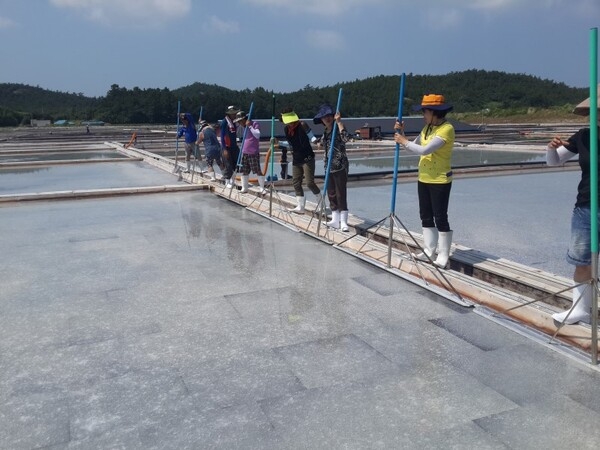 자은도 (신안보물섬영농조합법인,자은섬소금) 염전체험 2