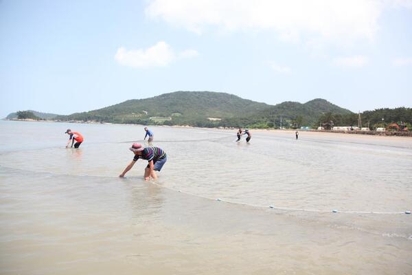 자은도 (신안보물섬영농조합법인,자은섬소금) 염전체험 3