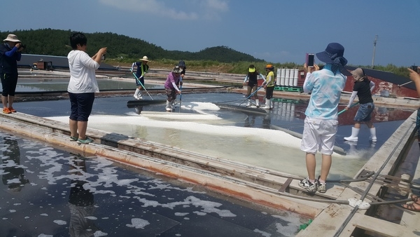 자은도 (신안보물섬영농조합법인,자은섬소금) 염전체험 1