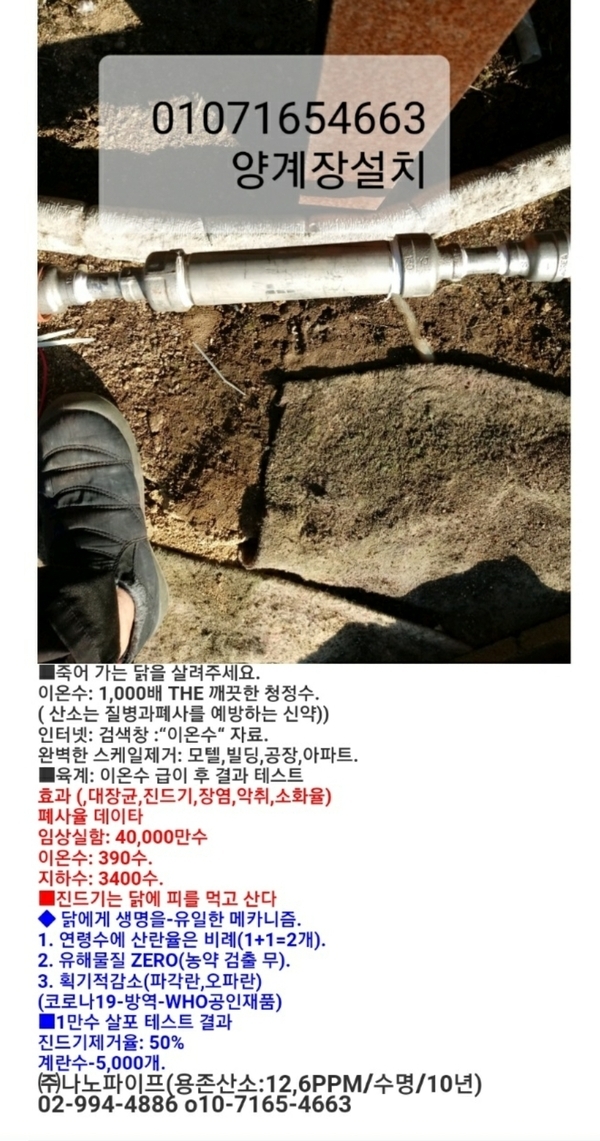 ◆닭사랑물정화 1