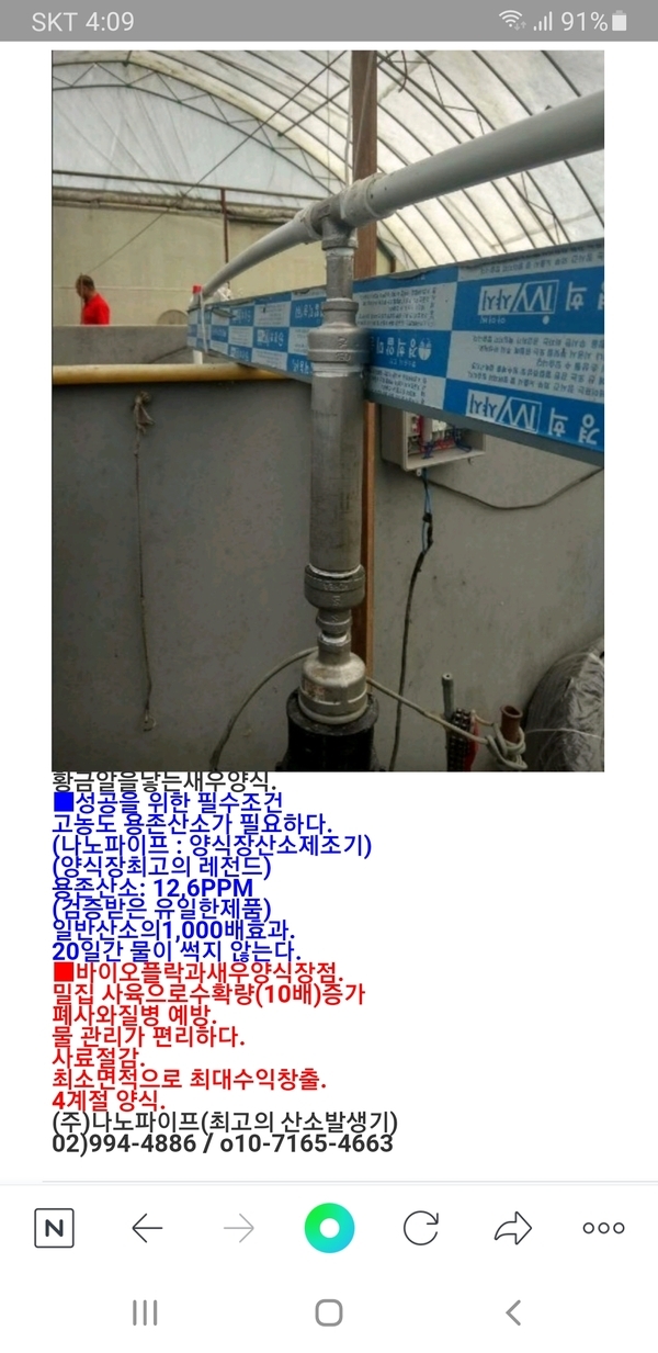 황금알을낳는새우양식. 1