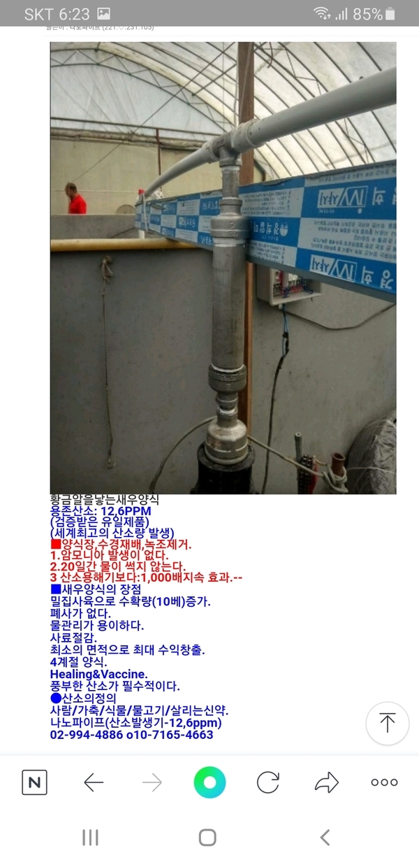 황금알을낳는새우양식 1