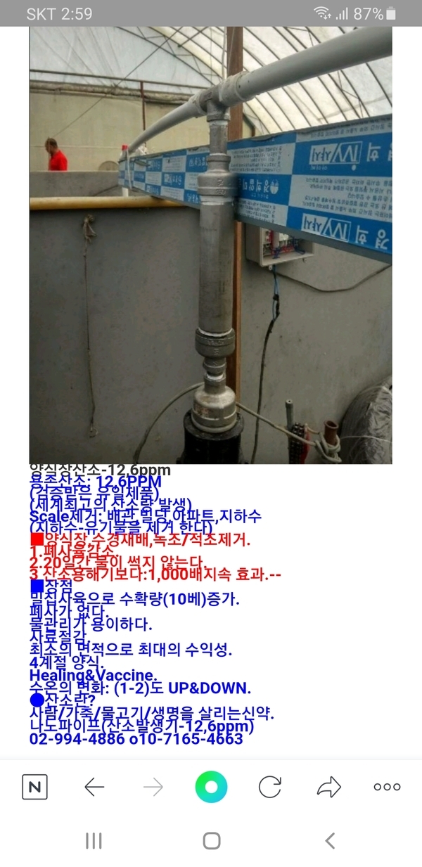 양식장산소-12,6ppm 1
