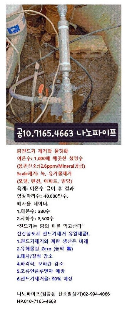 진드기없는우리닭, 1