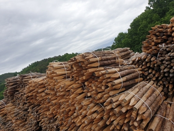 호롱말, 호랑말, 해태목, 해태몰, 말목 판매합니다. 1